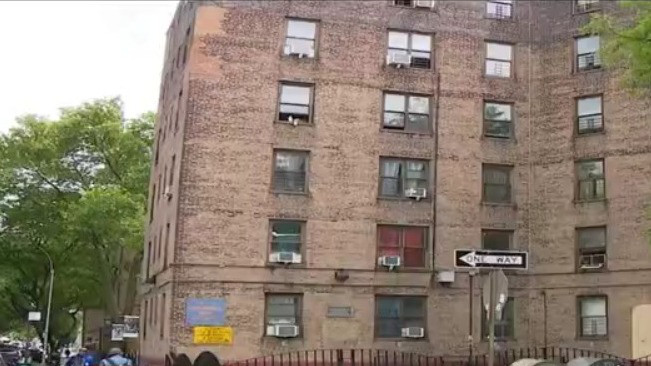 One-month-old girl mauled to death by dog in Queens, police say