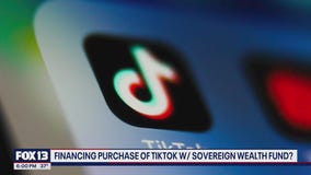 Financing TikTok purchase with sovereign wealth fund
