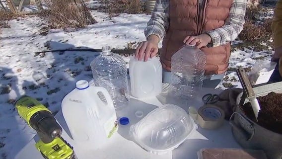 Tips for winter seeding