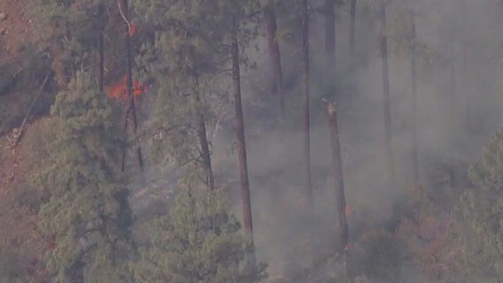 Latest numbers for Arizona's wildfires | Aug. 9