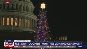 2025 U.S. Capitol tree lighting ceremony