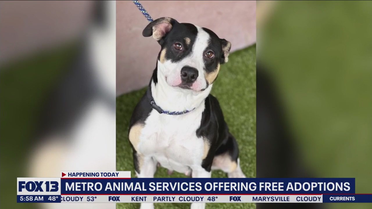 Metro Animal Services offering free adoptions