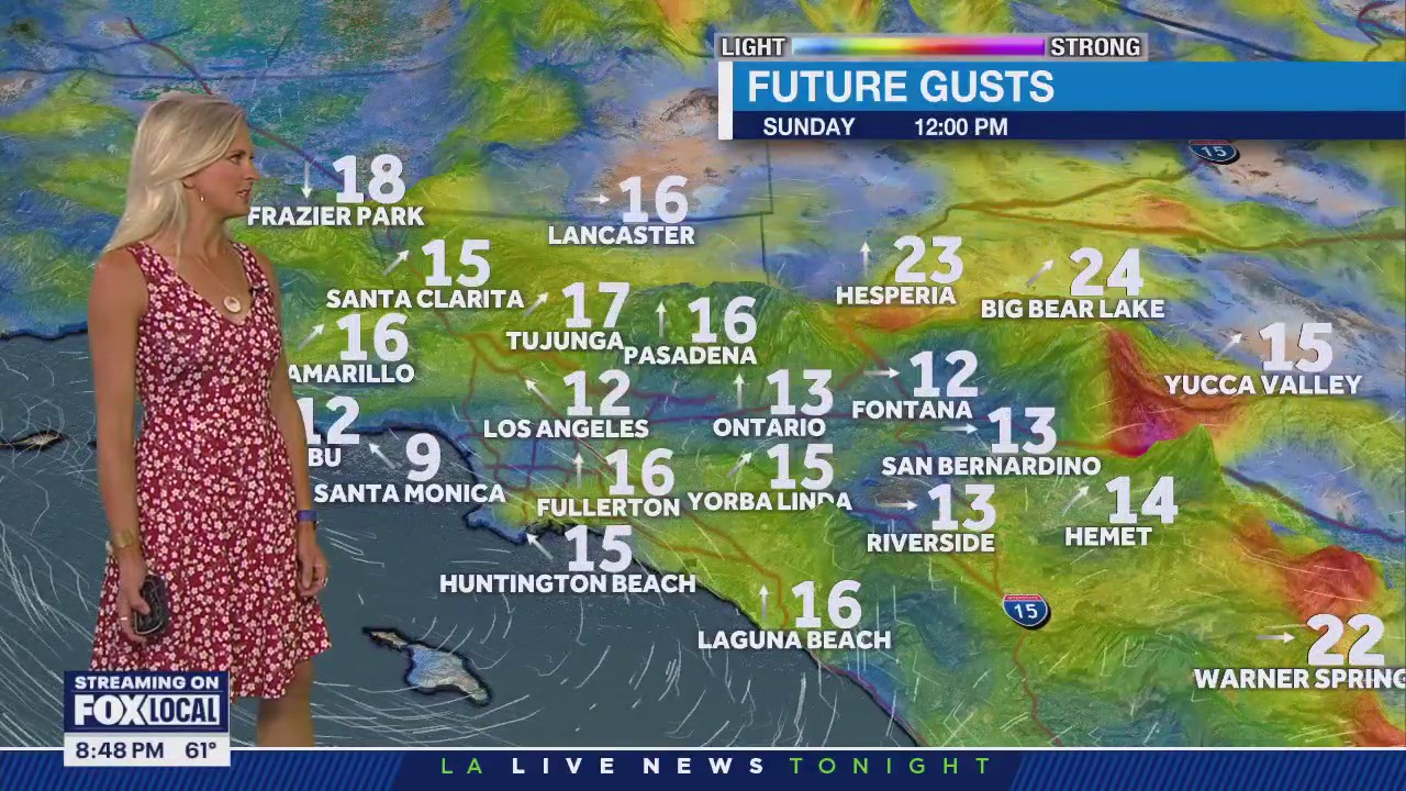 Weather Forecast: Friday, April 11