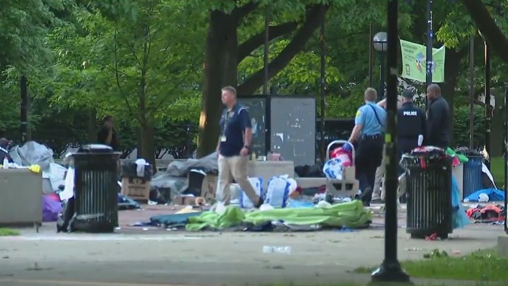 Police dismantle pro-Palestine encampment at UM Diag