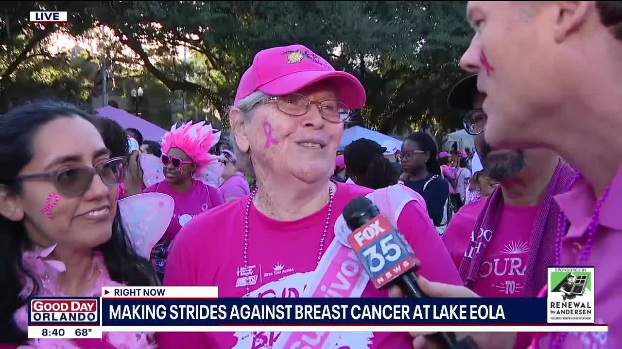 Making Strides Against Breast Cancer