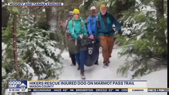 Hikers rescue injured dog on Marmot Pass Trail