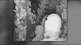 'Lovebirds' caught in the act at Scottsdale restaurant after report of break-in