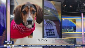 FurEver Home: April 24, 2022