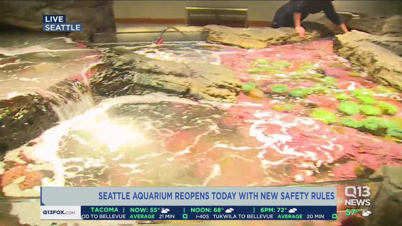 Seattle Aquarium reopens with new safety measures
