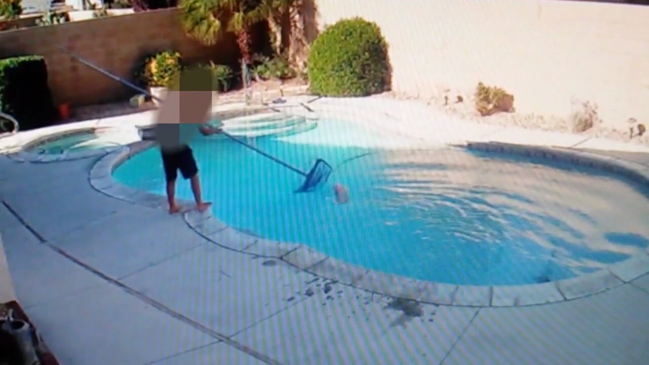 Shocking video shows young boy attempting to drown dog in pool