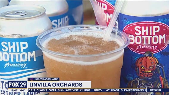 Apple cider donuts and hard cider at Linvilla Orchards