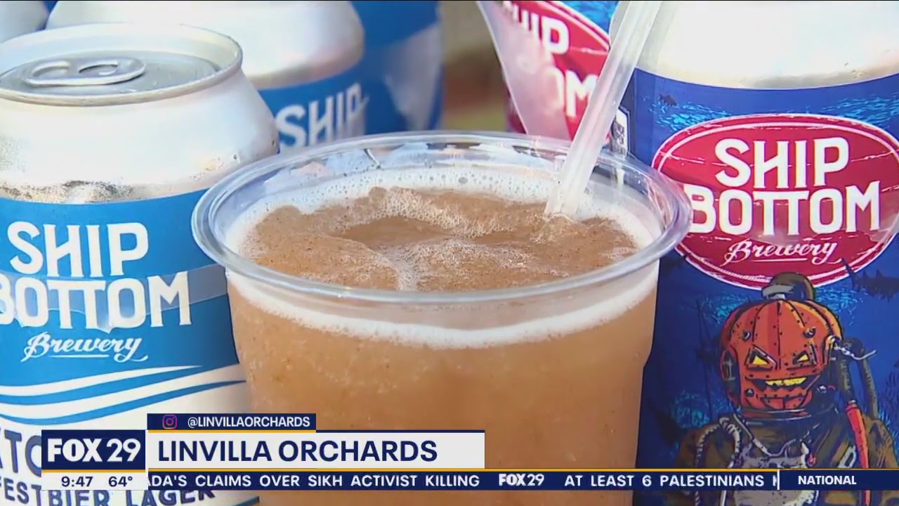 Apple cider donuts and hard cider at Linvilla Orchards