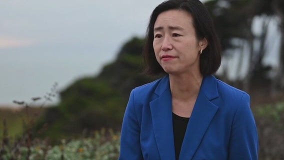 SF Supervisor Connie Chan to run for Pelosi's congressional seat