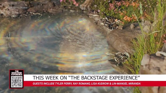 The Backstage Experience - 12/13/24