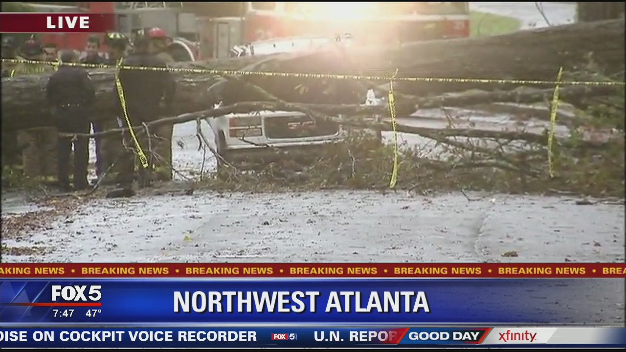 Person Dies after Tree Falls on Vehicle | FOX 5 Atlanta