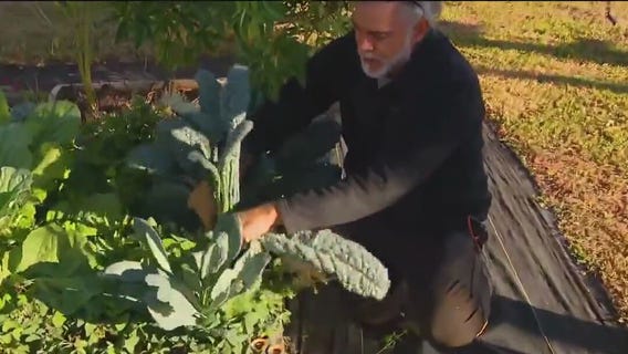 Good Day garden survives cold snap