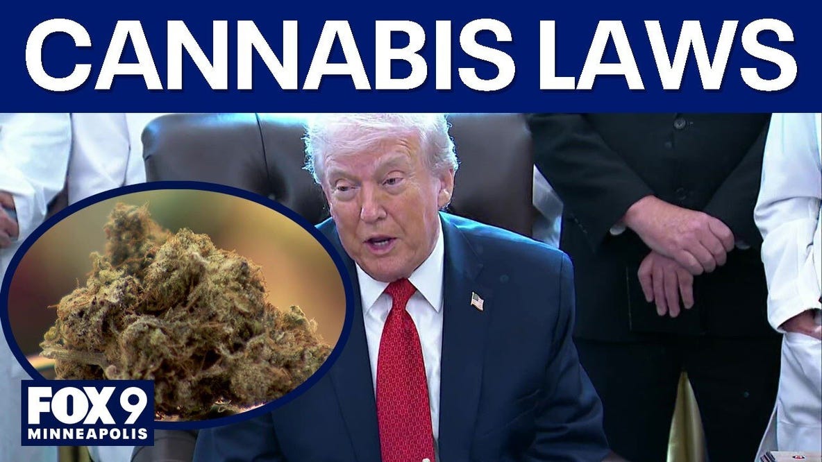 Trump reclassifies cannabis under federal law
