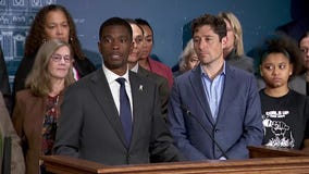 MN mayors challenge state lawmakers on gun laws