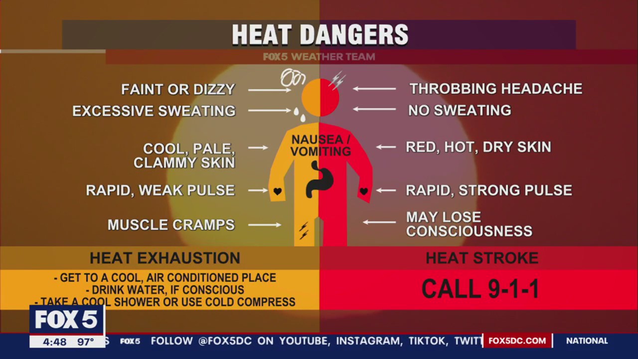 Youth sports, outdoor activites impacted by DMV heatwave | FOX 5 DC