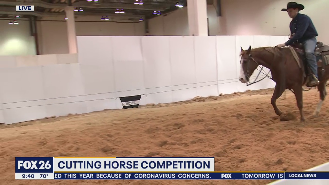 Cutting Horse Competition
