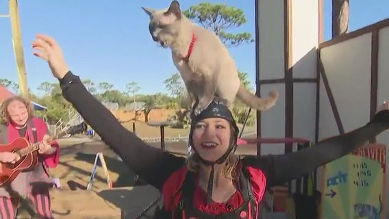 8th annual Brevard Renaissance Fair kicks off this weekend