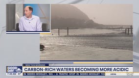 Carbon-rich waters becoming more acidic