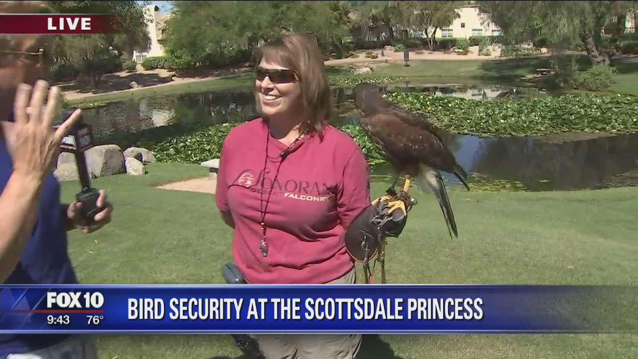 Summer fun at the Scottsdale Princess