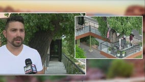 Tempe home built around 70-foot Cottonwood tree