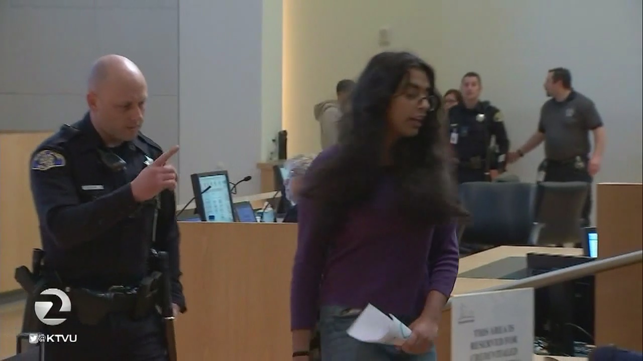 8 arrests at SJ City Hall over Google South Bay expansion meeting