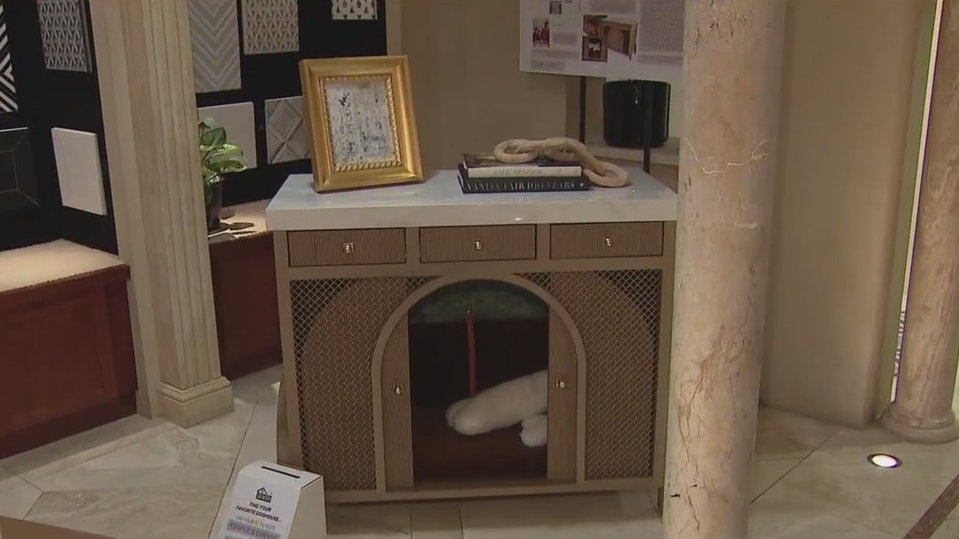 AAWL auctioning off doghouses