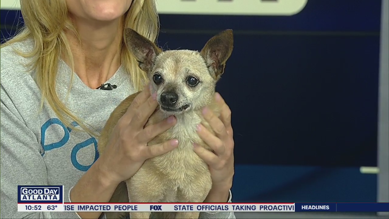 Pet of the Day: March 12, 2020