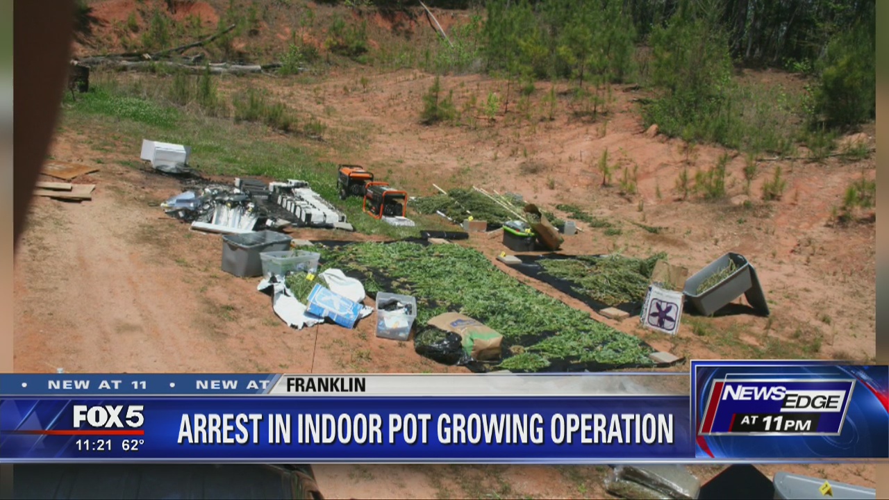 Heard County massive marijuana bust | FOX 5 Atlanta