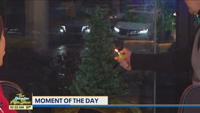 MOMENT OF THE DAY: Holiday Decorations