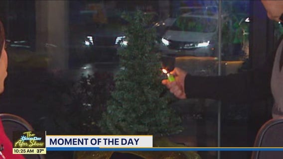MOMENT OF THE DAY: Holiday Decorations