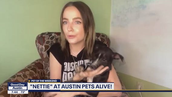 Pet of the Weekend: 'Nettie'