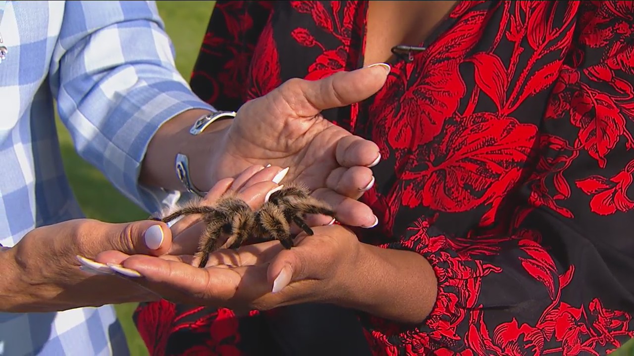 Family fun at The Village of Rochester Hills