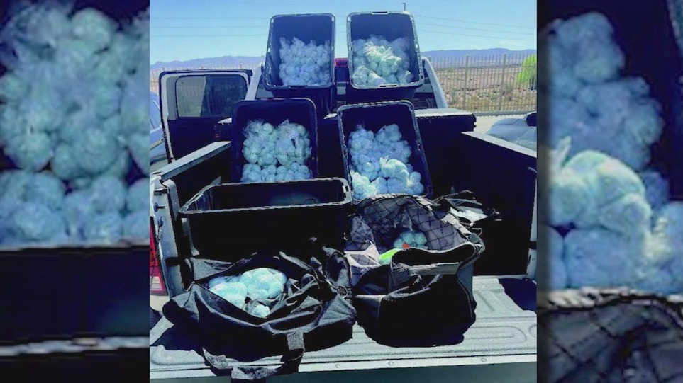 Drug bust in Phoenix nabs massive amount of fentanyl