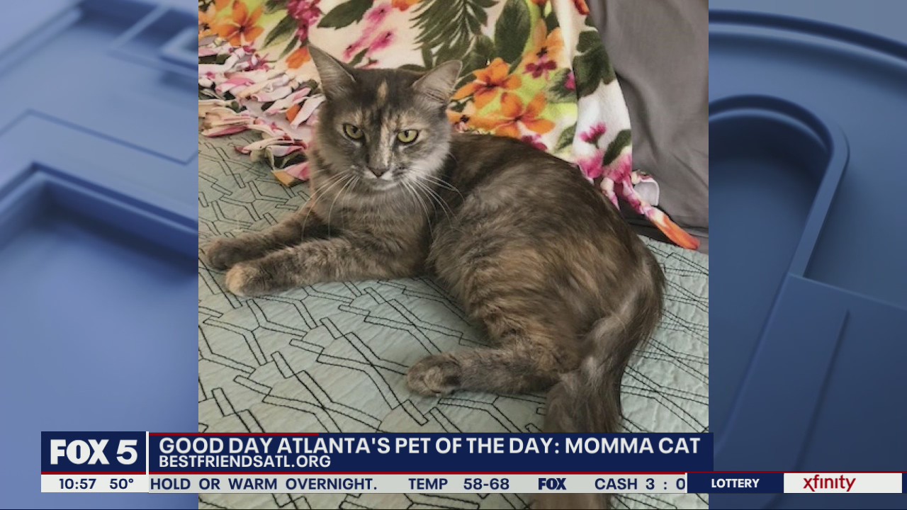 Pet of the Day from Best Friends