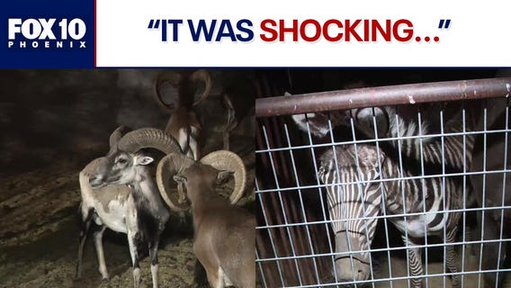 Exotic animals seized: Rio Verde residents react