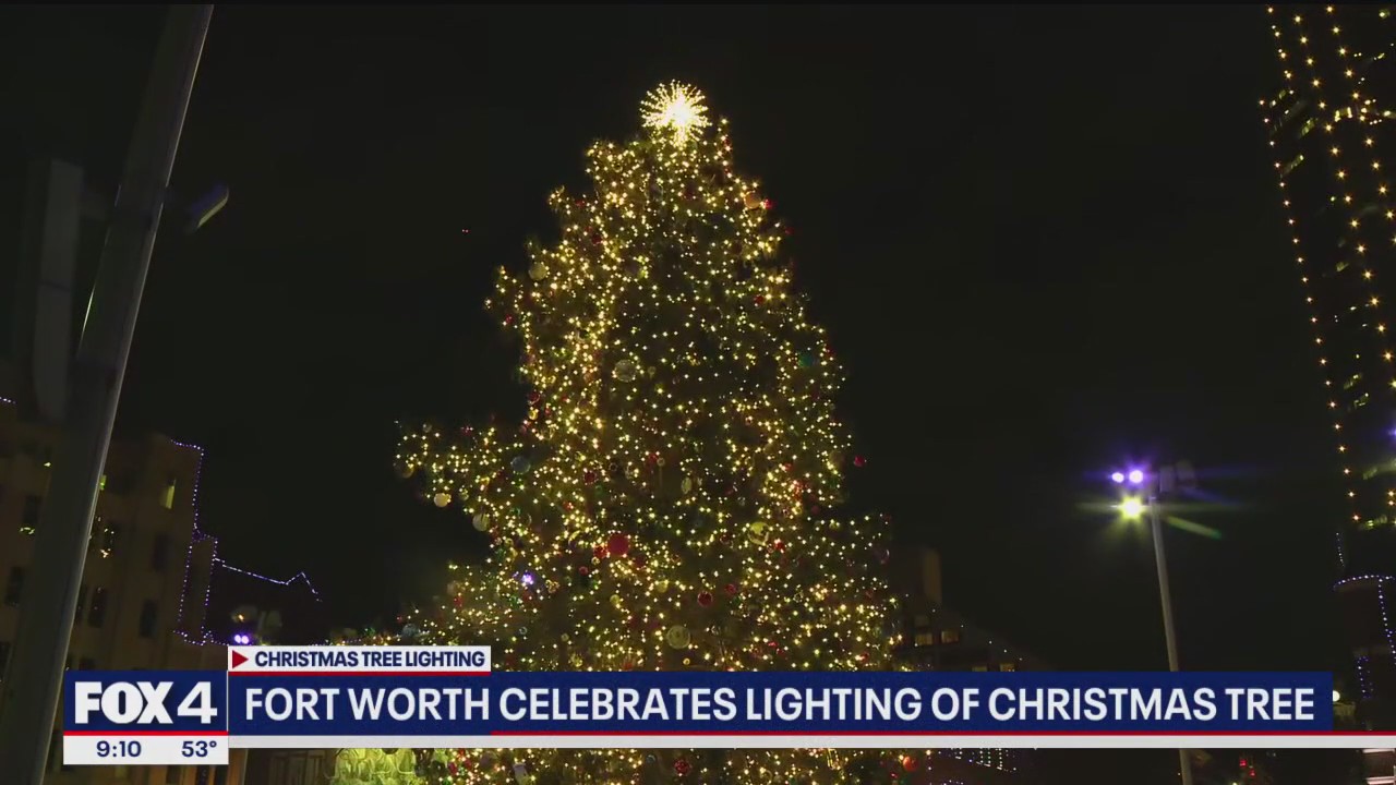 Sundance Square lights largest live Christmas tree in Texas