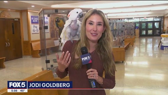 Long Island high school brings animals to class to teach life lessons