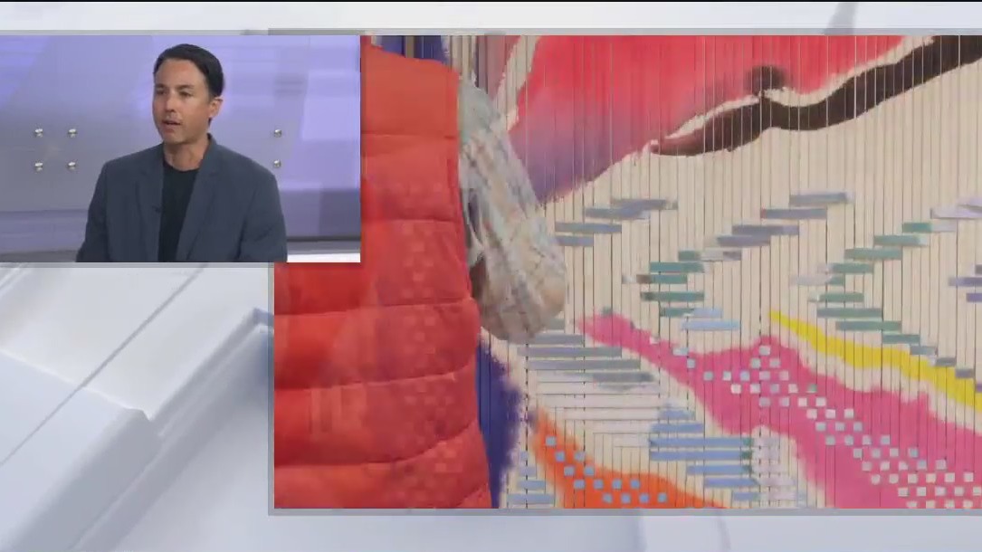 San Francisco's de Young Museum showcases contemporary Bay Area artists in new exhibition