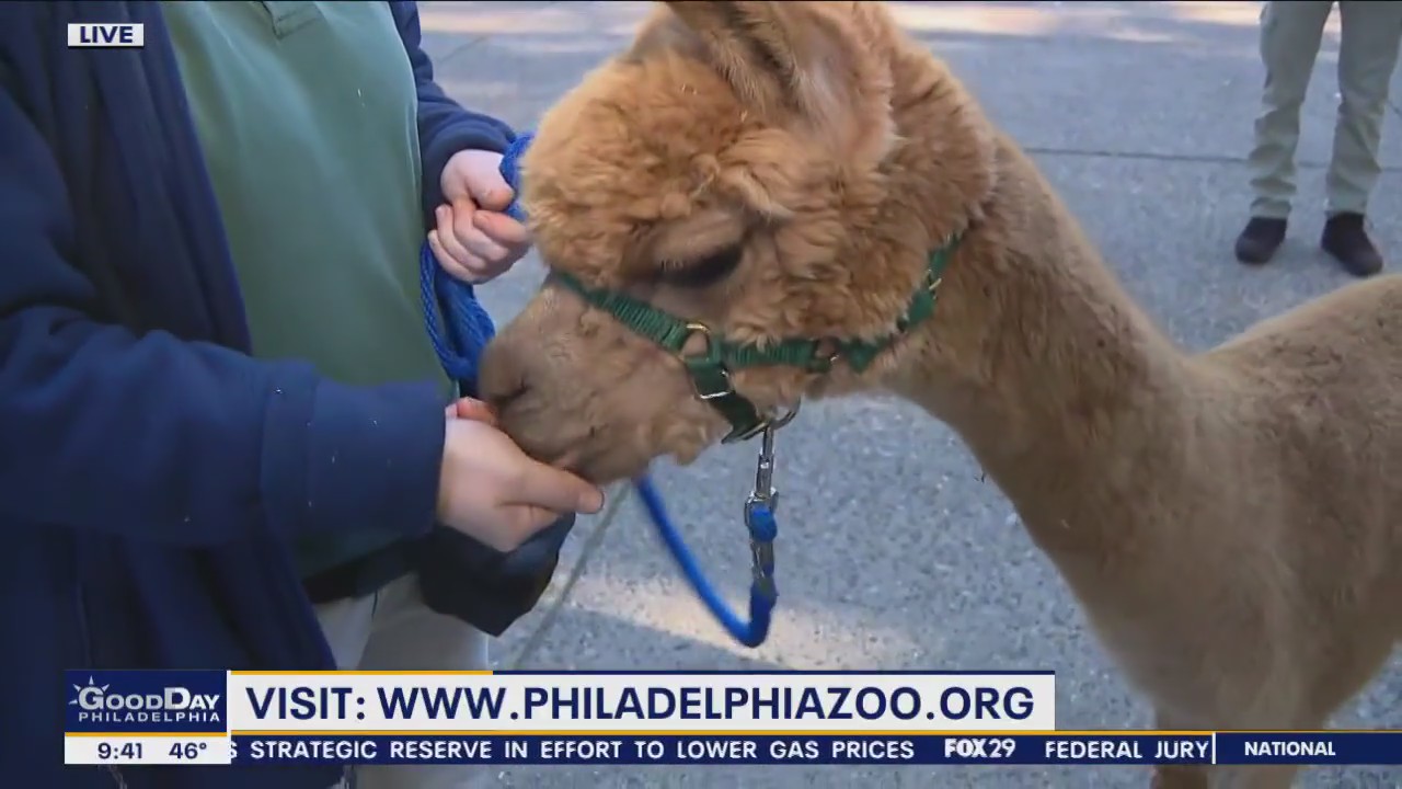Boo at the Zoo is back at the Philadelphia Zoo!