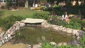 Carmel Catholic?s family garden brings outdoor learning and wellness together