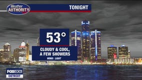 Mostly cloudy with a stray shower for Thursday