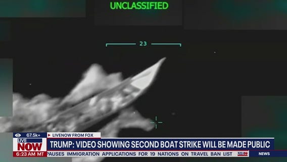 Rep. Thanedar (D) calls for Hegseth's resignation