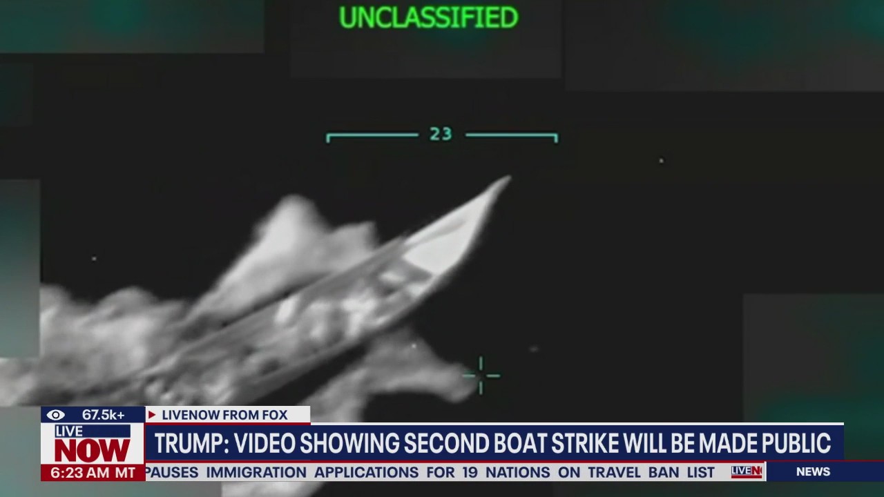 Rep. Thanedar (D) calls for Hegseth's resignation