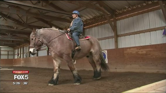 Veterans bond with horses