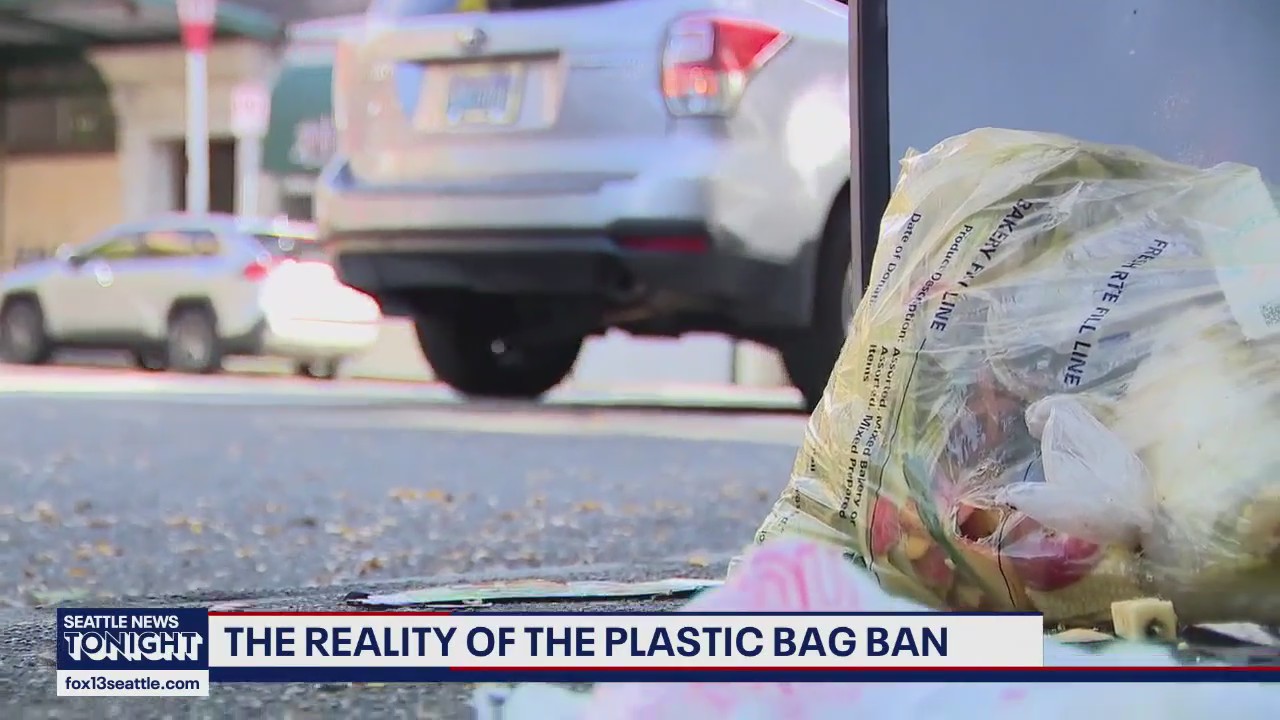 The effectiveness of Washington's plastic bag ban