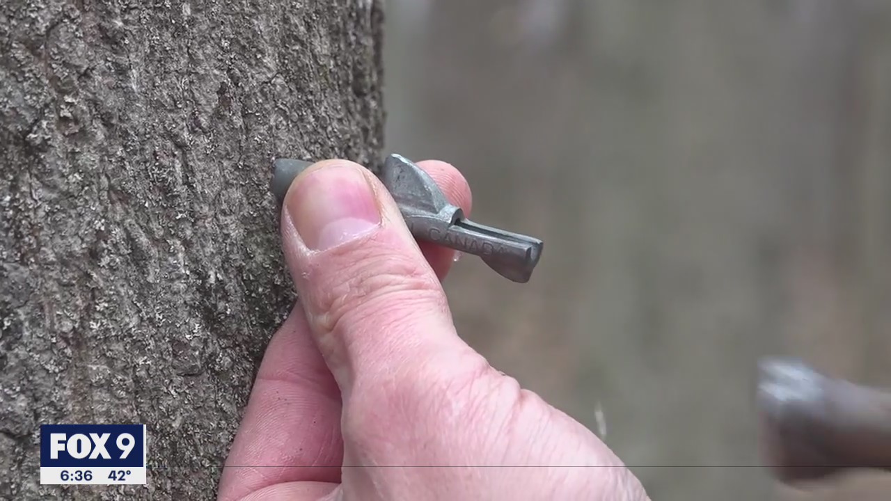 Not too sweet: Inflation affecting maple syrup pricing | FOX 9 ...